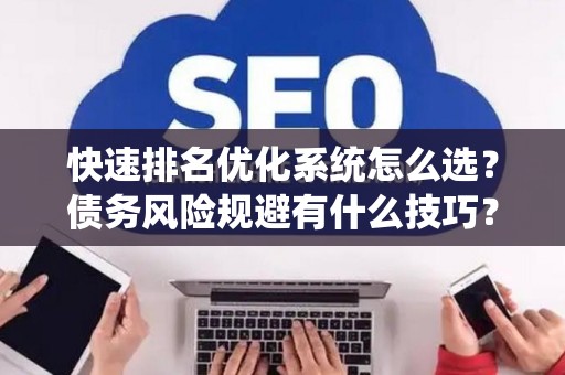 快速排名优化系统怎么选？债务风险规避有什么技巧？